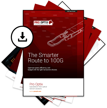 100G Mini Guide